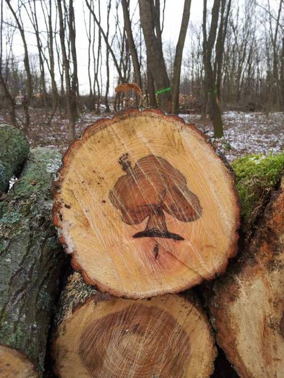 funny-pictures-1317