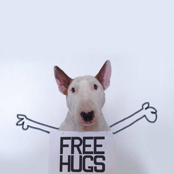funny-pictures-1317