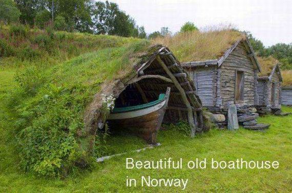funny-pictures-1325