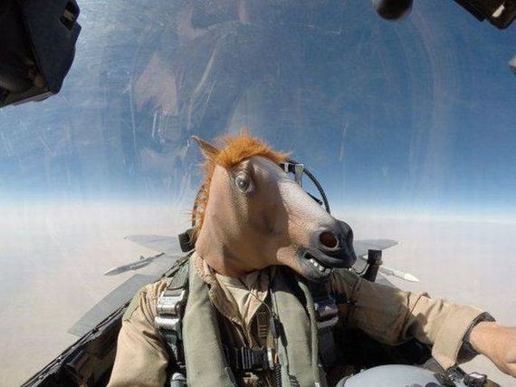 funny-pictures-1325