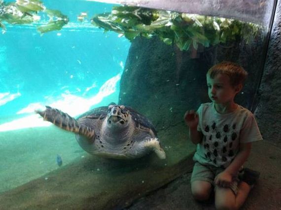 funny-pictures-1325