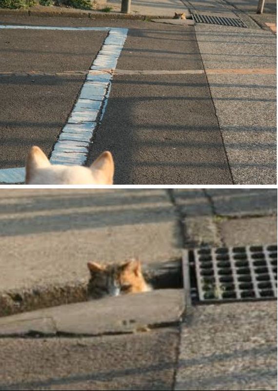 funny-pictures-1325