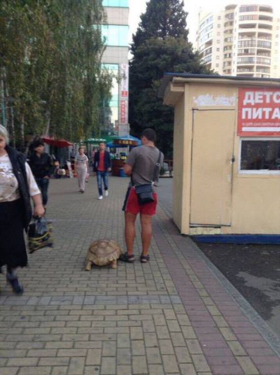 funny-pictures-1325