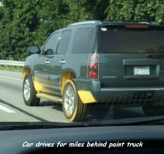 funny-pictures-1325