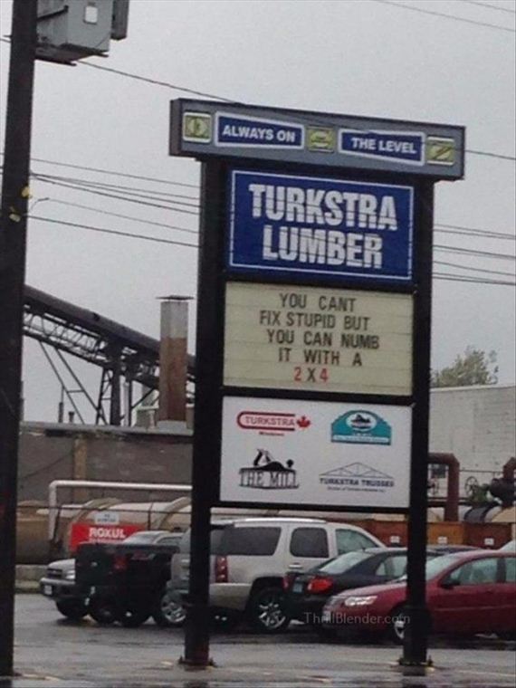 funny-pictures-1330