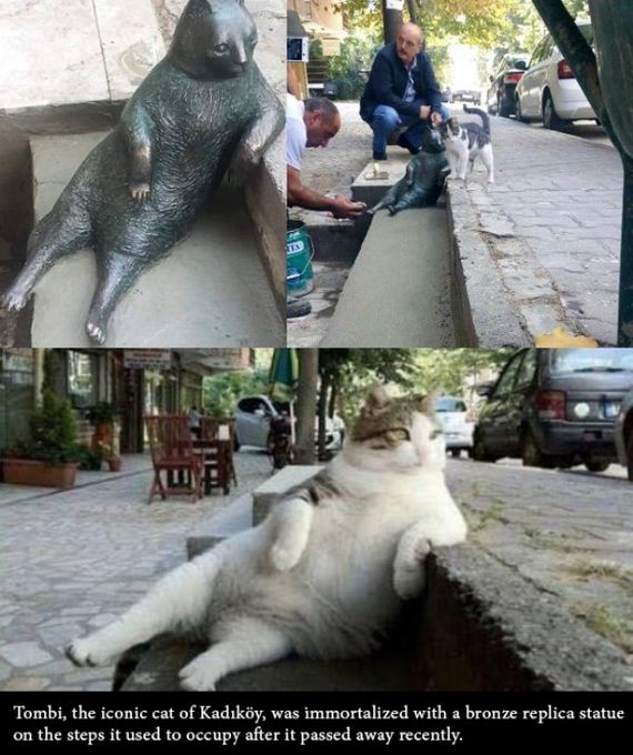 funny-pictures-1330