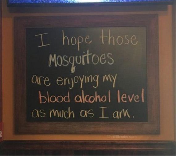 funny-pictures-1330