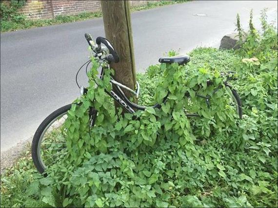 funny-pictures-1330