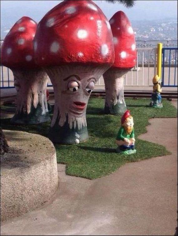 funny-pictures-1330
