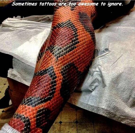 funny-pictures-1330