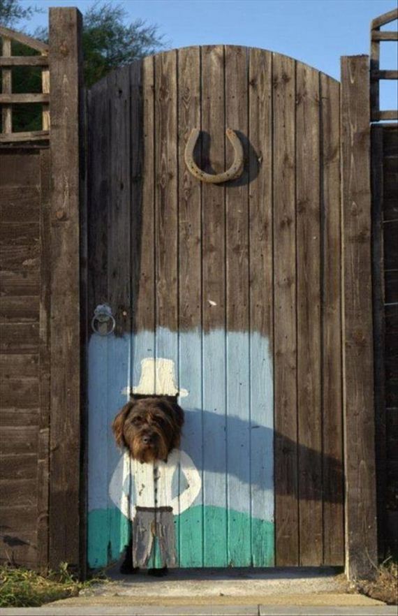 funny-pictures-1330