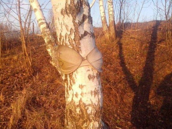 funny-pictures-1339