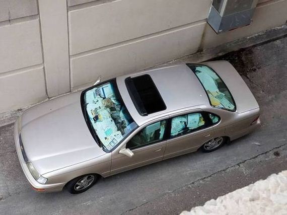funny-pictures-1339