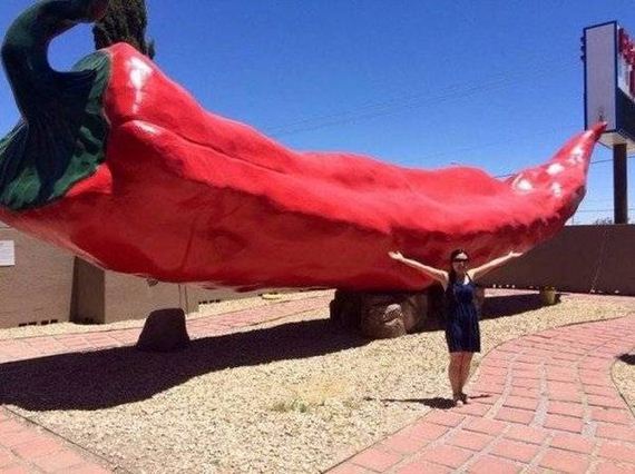 funny-pictures-1339
