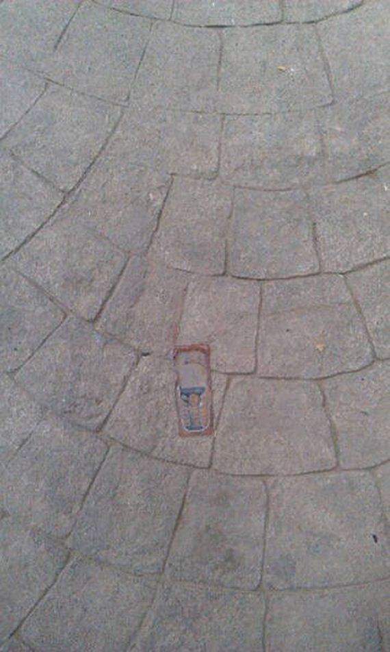 funny-pictures-1339