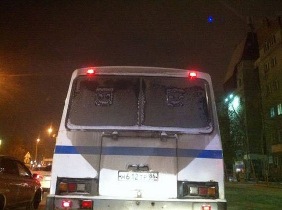 funny-pictures-1339