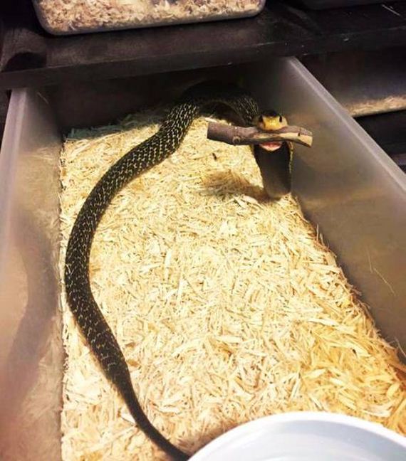 funny-pictures-1339