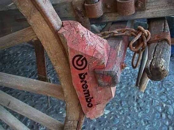 funny-pictures-1341