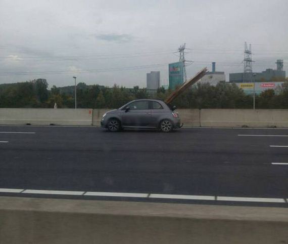 funny-pictures-1341
