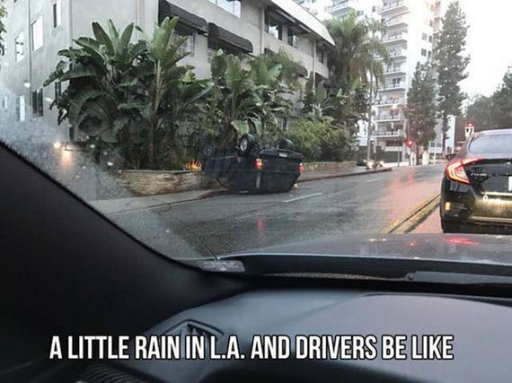 funny-pictures-1341