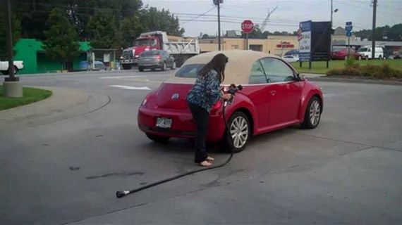 funny-pictures-1341