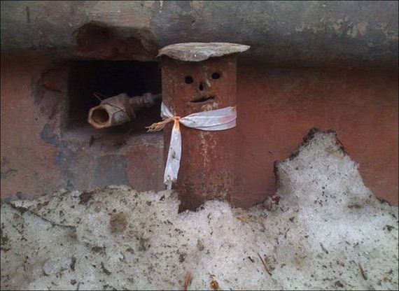 funny-pictures-1341
