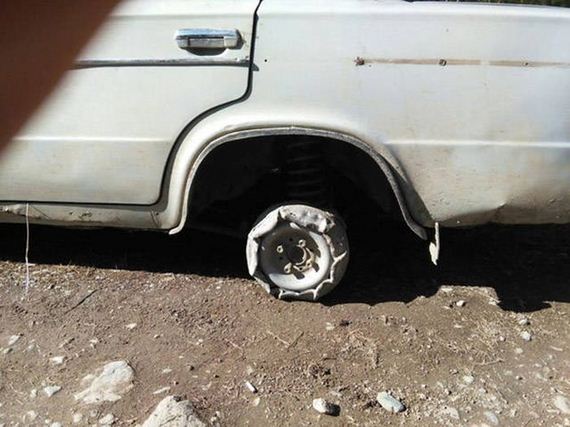 funny-pictures-1341
