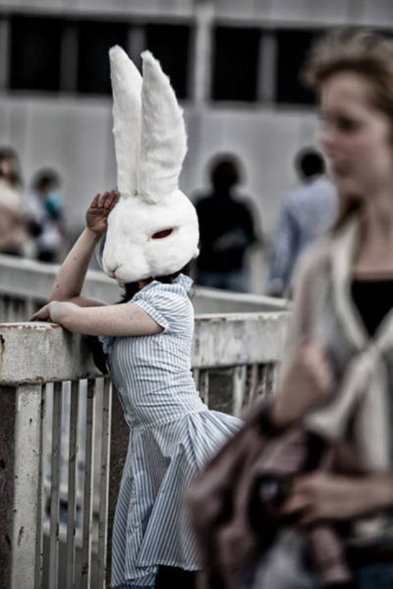funny-pictures-1341