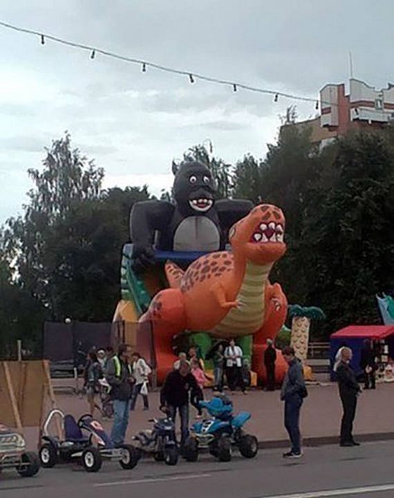 funny-pictures-1341