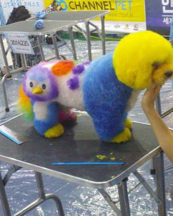funny-pictures-1341