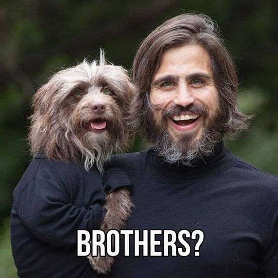 funny-pictures-1341
