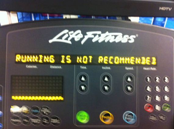 funny-pictures-1343