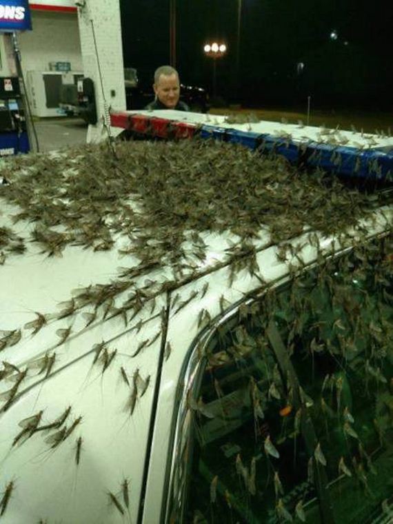 funny-pictures-1343