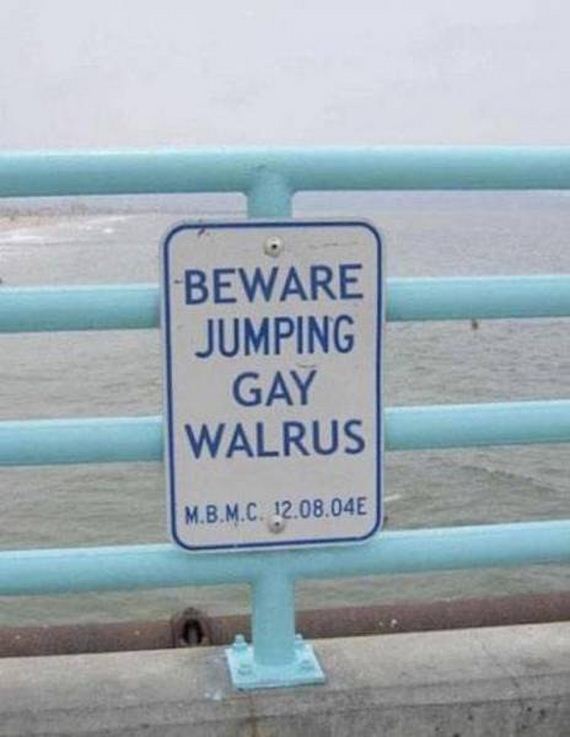 funny-pictures-1343