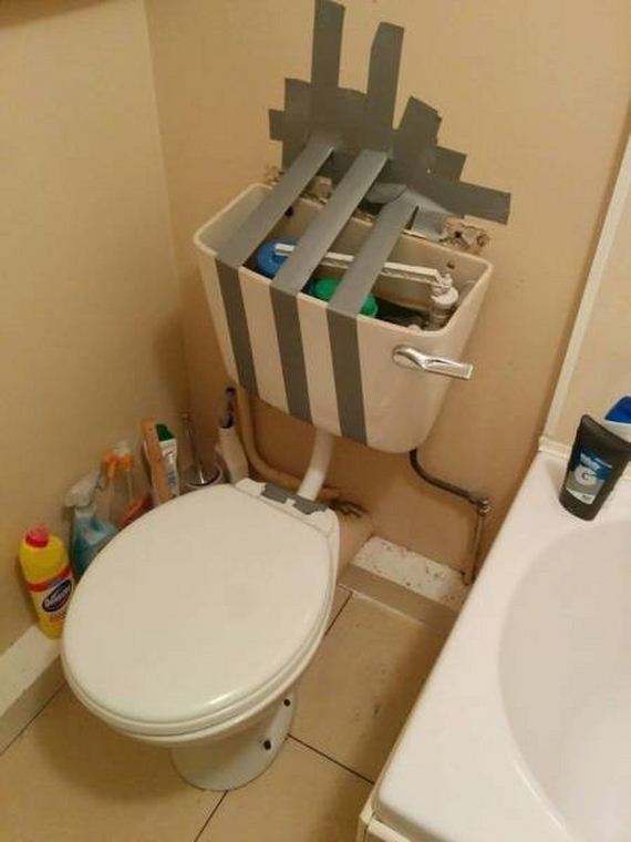 funny-pictures-1343