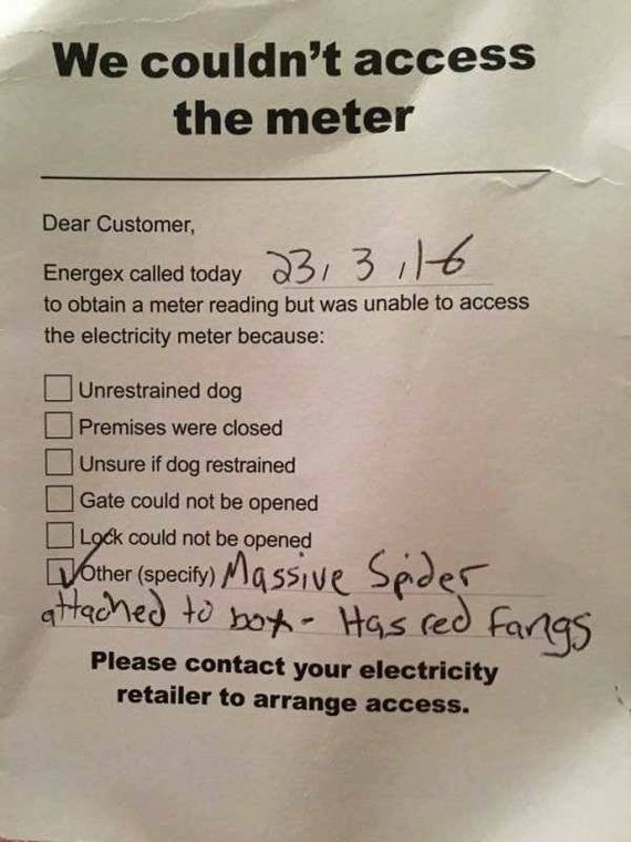 funny-pictures-1343