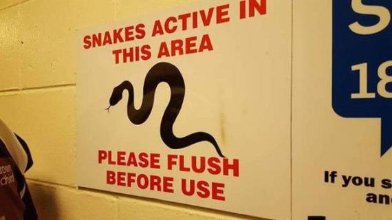 funny-pictures-1343