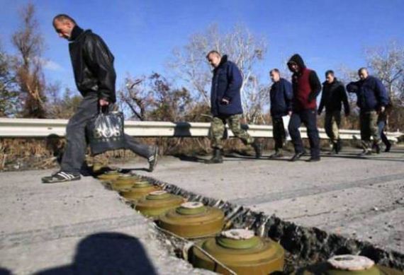 funny-pictures-1343