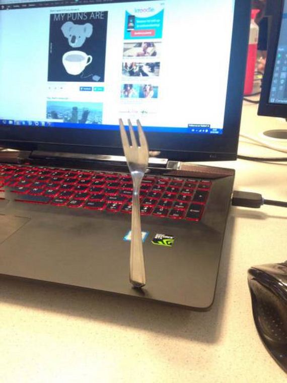 funny-pictures-1344