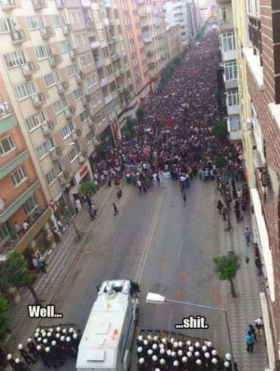 funny-pictures-1344