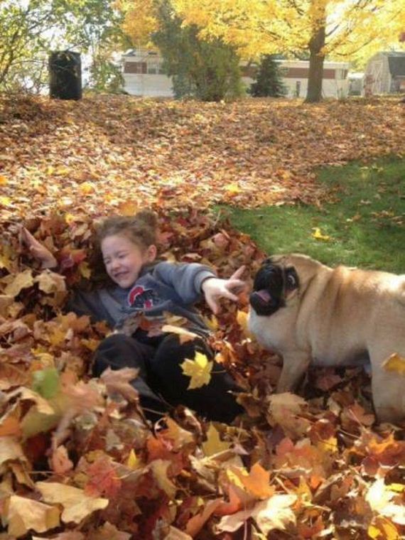 funny-pictures-1344