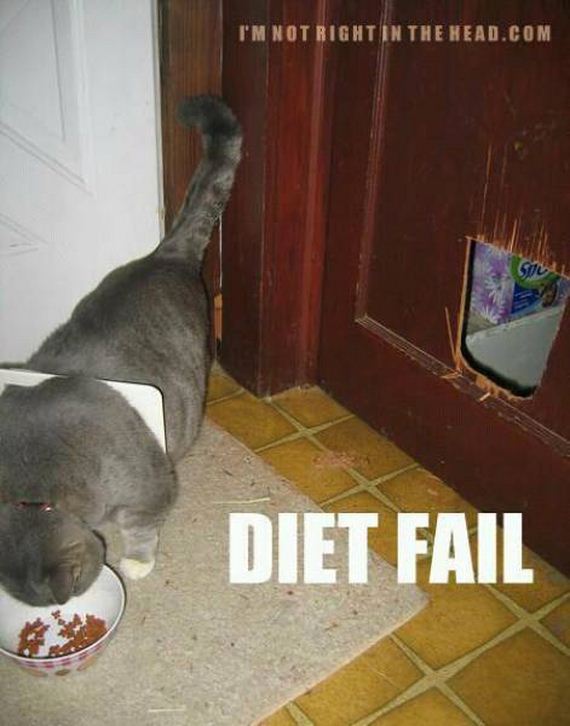 funny_diet_fails_that_anyone_can_relate