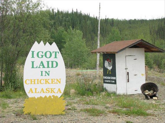 got-laid-in-chicken-alaska