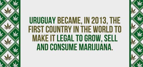 interesting_weed_facts_you_didnt_know_about