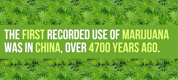 interesting_weed_facts_you_didnt_know_about