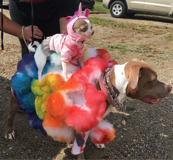 its-beginning-to-look-a-lot-like-halloween
