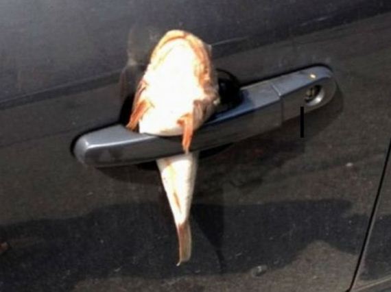 parking_revenge_01