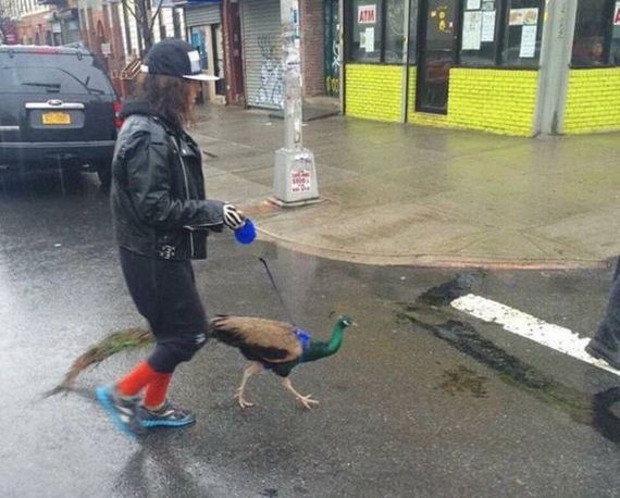 question_is_wtf