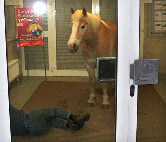 question_is_wtf