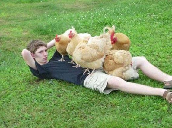 question_is_wtf